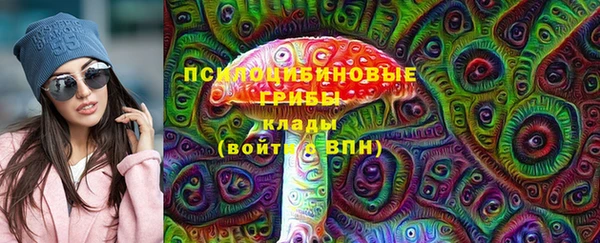 ПСИЛОЦИБИНОВЫЕ ГРИБЫ Вязьма