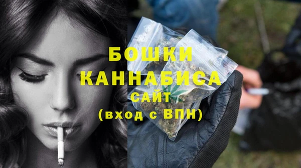 крисы Горняк