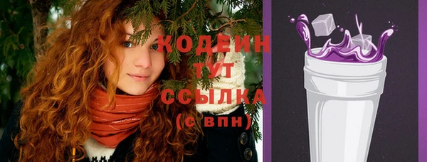 крисы Горняк