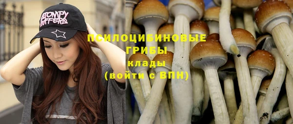мдма Горнозаводск