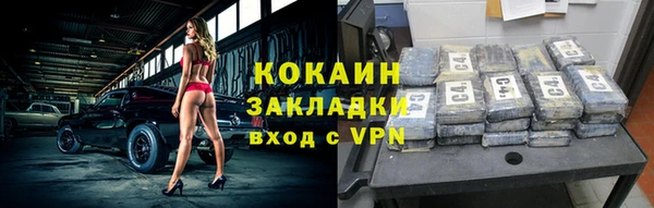 крисы Горняк