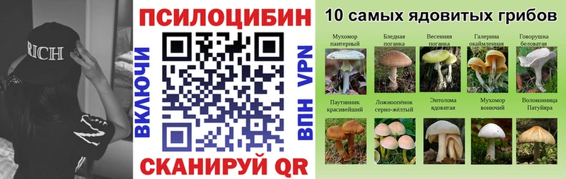 Галлюциногенные грибы Psilocybe  наркота  Яхрома 